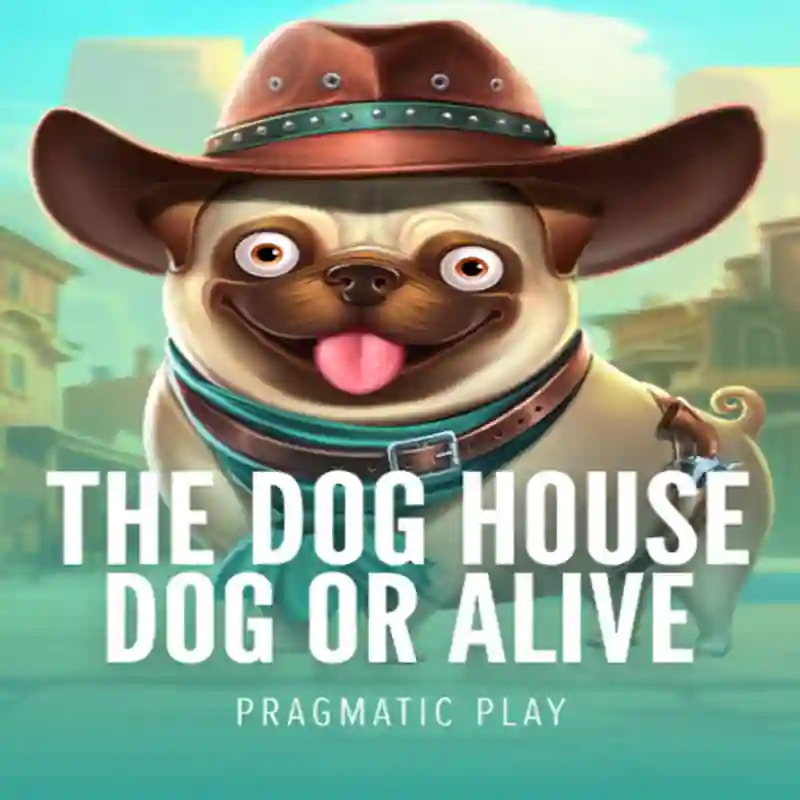 Dog House Dog & Alive